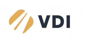 Virtual Driver Interactive logo